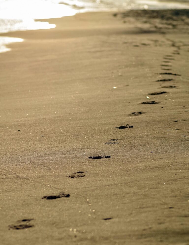 footprints-in-the-sand-3969863_1280